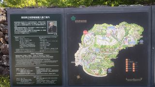 植物観察の面白さ