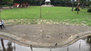 家族連れの散歩