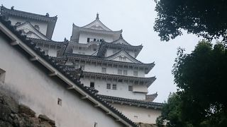 見ごたえ抜群⭐