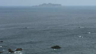 水仙の里公園から見える