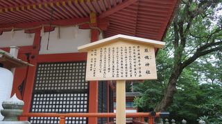 頑張って奥の院まで行きました