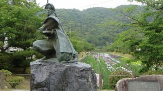 菖蒲の花がきれいです