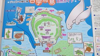 小さい島だけど・・・