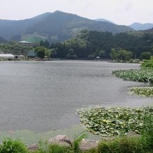 野守の池