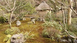 一年中鈴虫の鳴くお寺