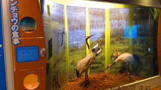 アップダウンあるが、いい運動になるものの小さい子やお年寄りはご注意