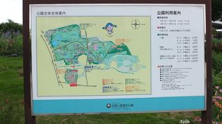 広いです。時間は十分に。