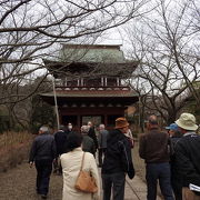 長勝寺の見学をしてきました。