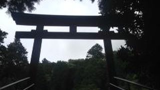 迫力がありました