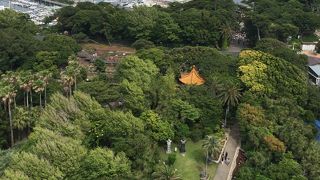 遊ぶ場所たくさん