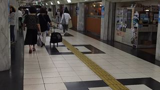 新しさはありません