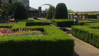 横浜の街並みが一望