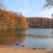 ボートから見る紅葉が最高