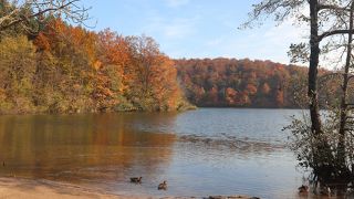 ボートから見る紅葉が最高