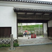 猫が雨宿りしていました