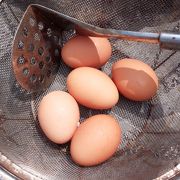 夏場は短めがお勧めです