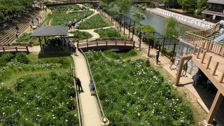 スケール小さく、期待外れ