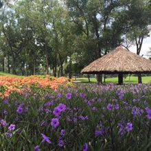 ベトナムゴルフ＆カントリークラブ