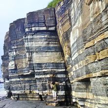 すぱっと真っ直ぐ切れています。