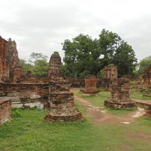広大な寺院跡です