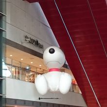 店の外観です。