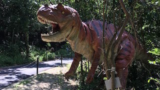 緑いっぱいの公園です