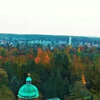 部屋からの景色。森に囲まれたフランクフルトの街