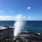 波を見ながらシャッターチャンスを狙います！