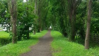 入り口の近くしか歩けませんでした