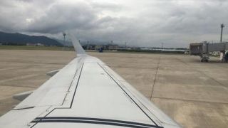 コンパクトで便利。