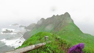 腐海の森を連想する光景