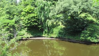 見つけました！