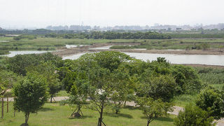 アフリカクロトキを見てきました。