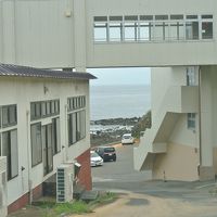 車で海辺まで降ります