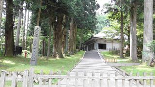 金色堂の他にも見どころがたくさんあります