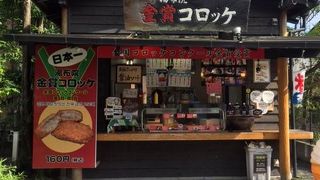 とりあえずこれだけは