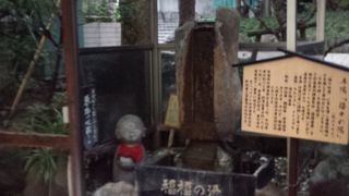 本物だからこそ