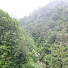 奥胎内渓谷の風景です。