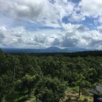 客室からの眺望