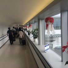 アプローチは長め。