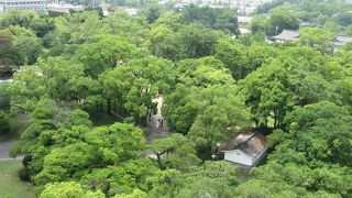 建物は良いけれど…