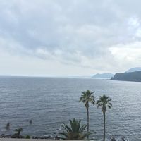 客室からの眺め