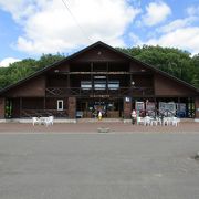 道の駅きっぷ　ピンネシリ 道の駅 ピンネシリ 敏音知岳登山記念きっぷ 非売品 レア 道の駅