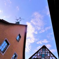 朝の部屋からの景色