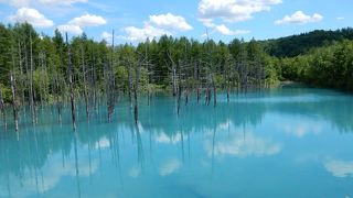 実は火山泥流災害対策の副産物