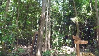 谷戸山公園内の山深いところにあります