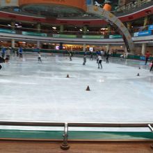 リンクの様子　楽しそうです