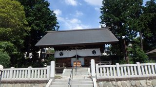 夏の暑い中、セミが境内でないていました