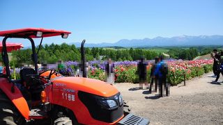 花畑が綺麗、食べ物も色々ある