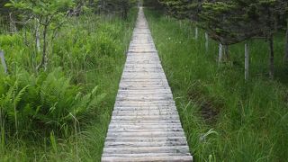 灯台までの道のりが素敵